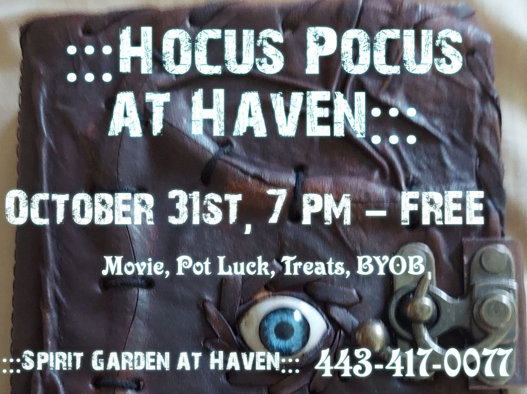 Hocus Pocus Halloween at Haven!!!