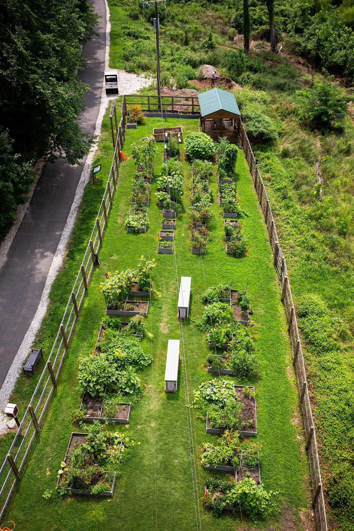 Volunteer in the Eco-Corridor - October 31