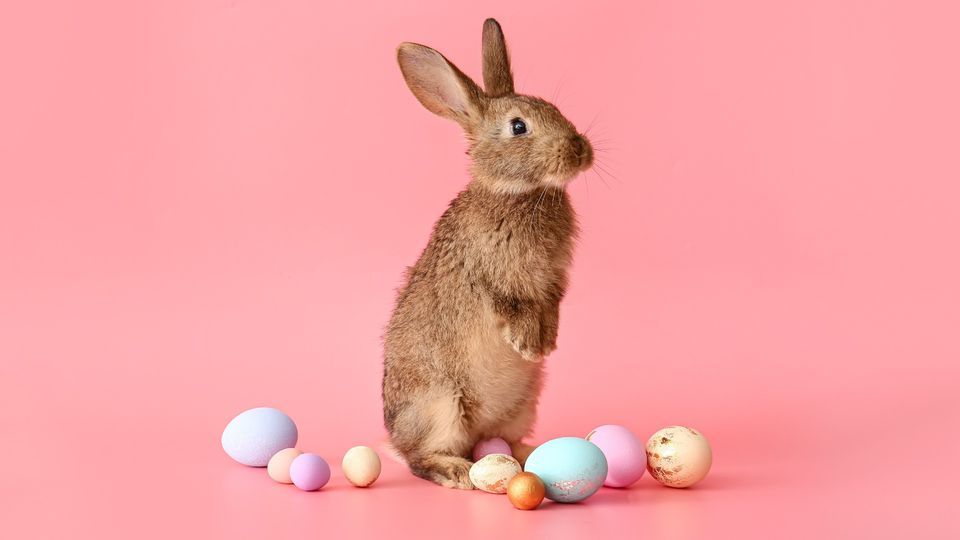 SOLD OUT: Easter Egg Hunt and Celebration
