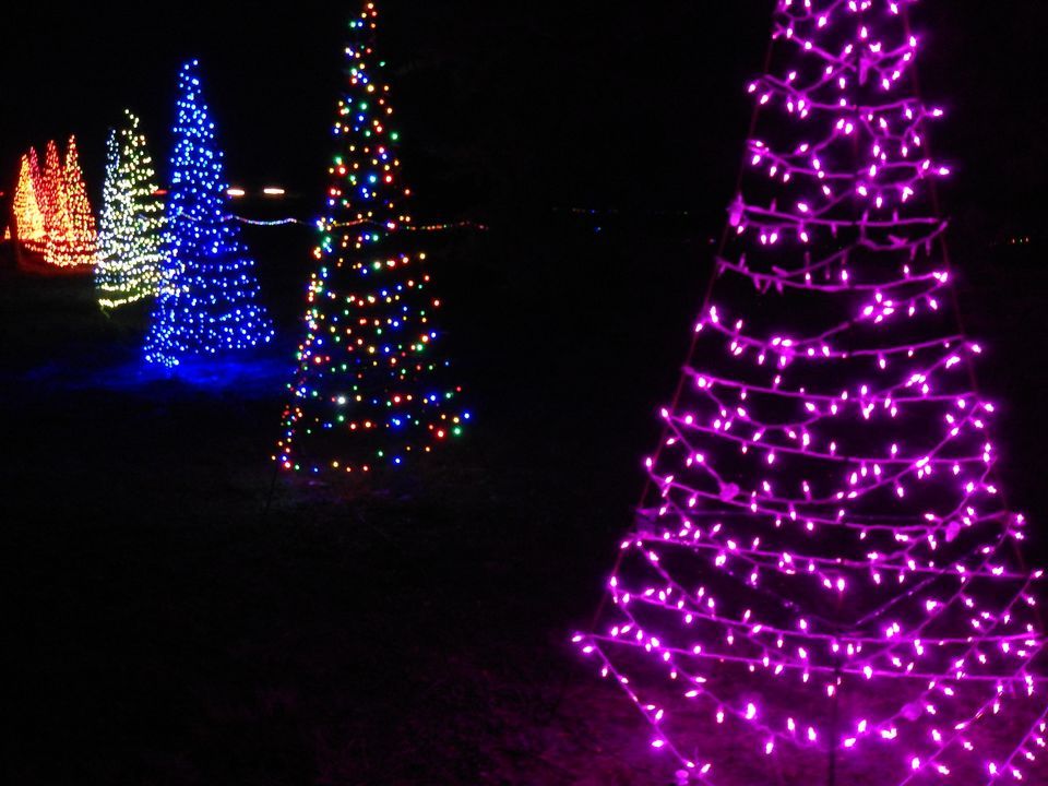 Christmas Lane of Lights Ledbetter, TX December 9, 2023