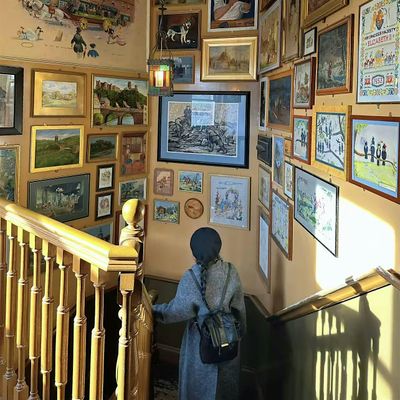 Etheria's animal realm