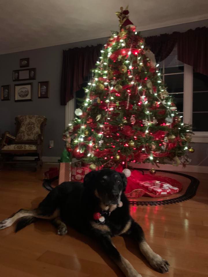 Christmas Party Fredericton December 2, 2023