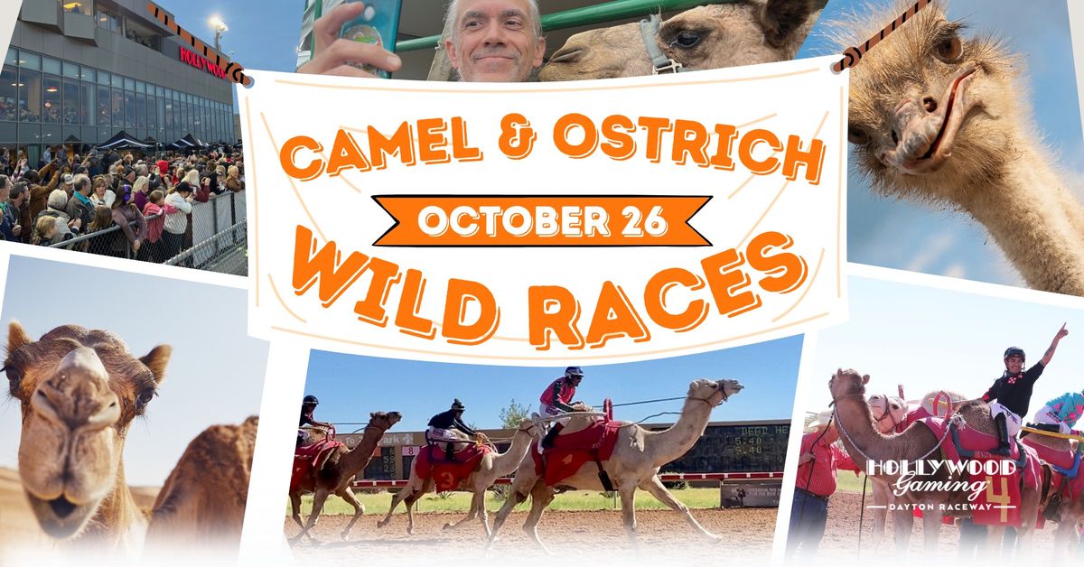 CAMEL AND OSTRICH RACES