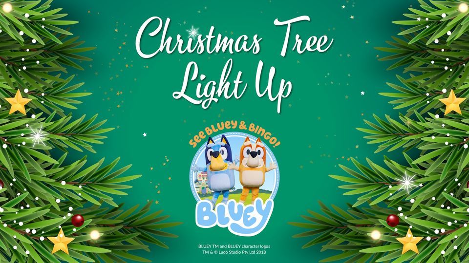 Cairns Christmas Tree Lightup Lagoon Plaza, Cairns Esplanade