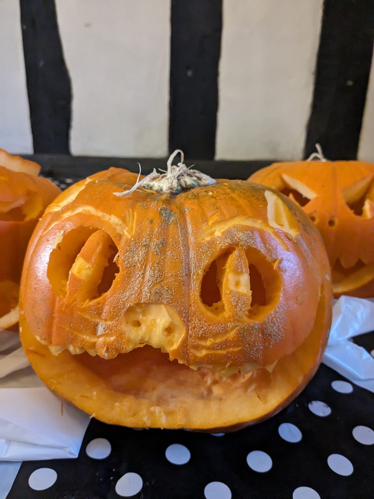 Pumpkin Carving Workshop