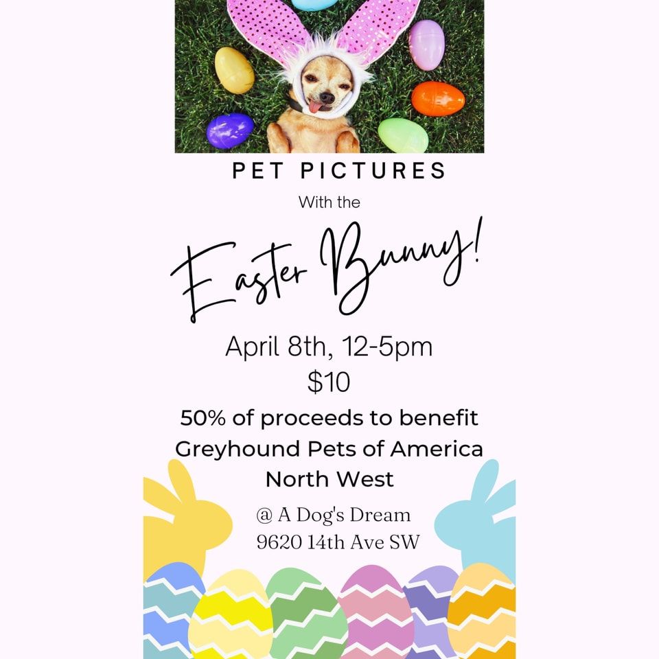 Easter Pictures at A Dog's Dream Natural Pet Supply