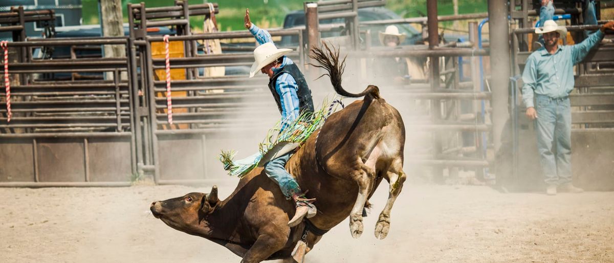 Brash Rodeo at Brash Rodeo Columbia Falls