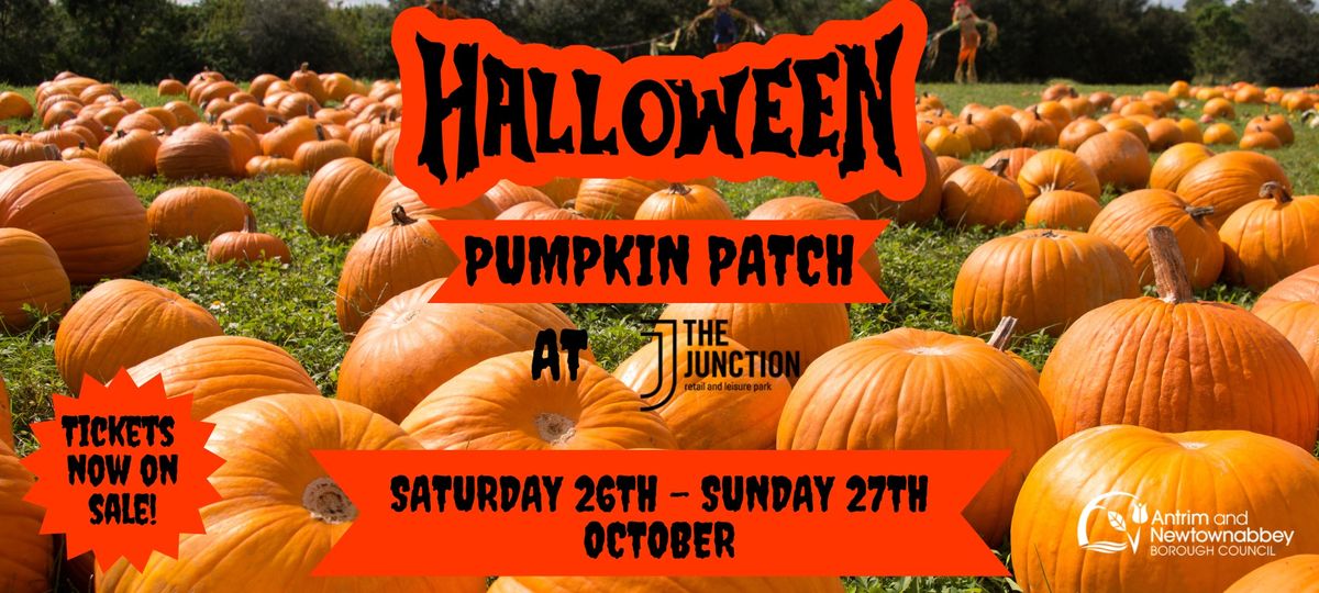 Pumpkin Patch Sensory Sessions