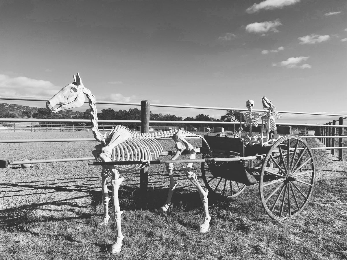 Horsemanship Over Obstacles: Halloween Edition