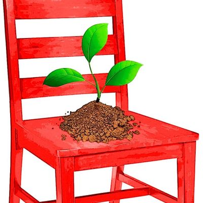 Red Chair Farm