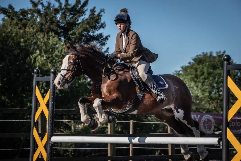 Saturday Evening Show Jumping Coloured Cob Equestrian Centre