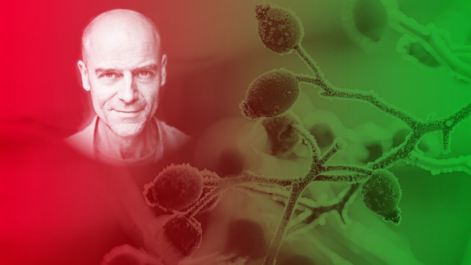 Charles Dickens A Christmas Carol St. Church Kemptown