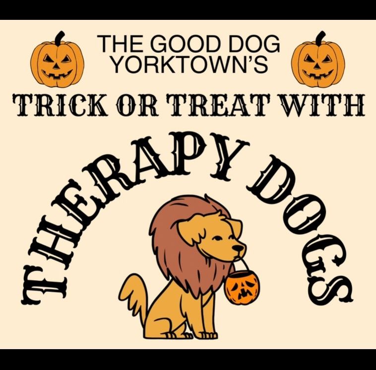 Trick or Treat with Therapy Dogs