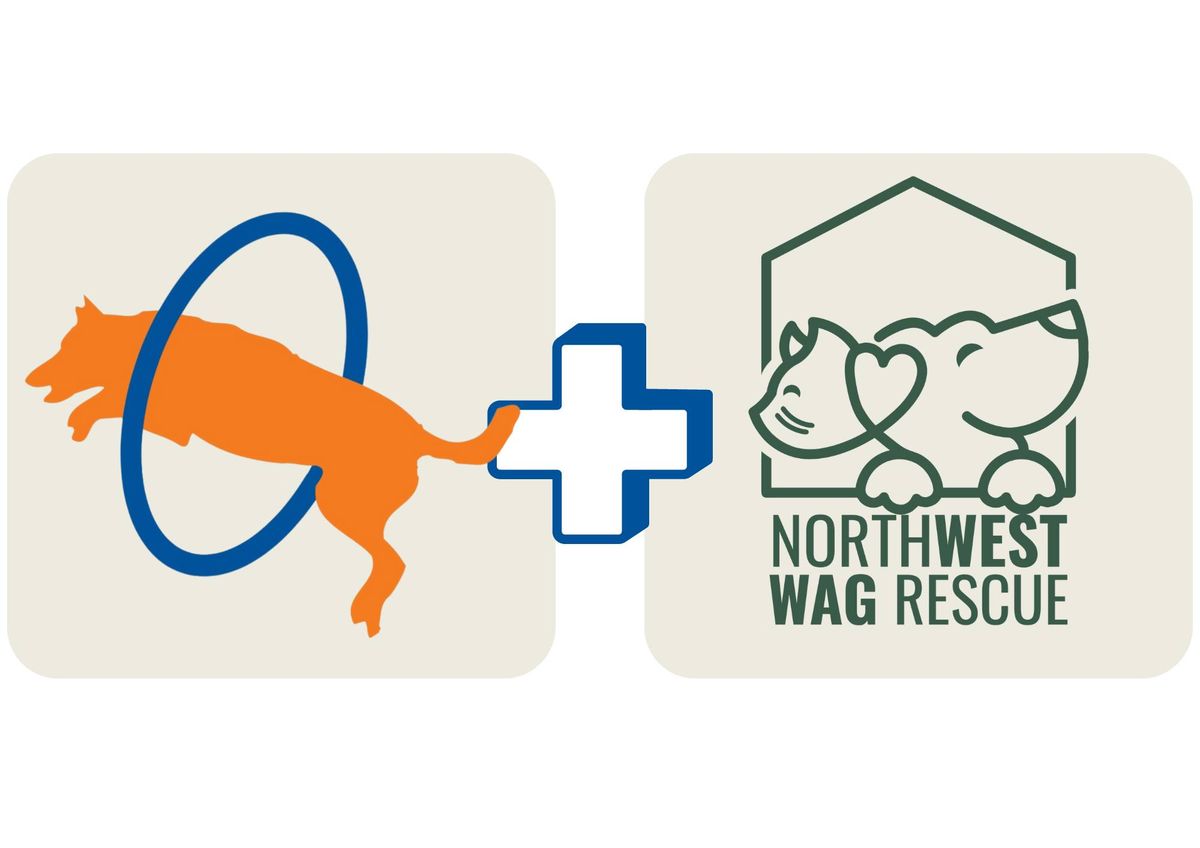 Fashion For Fosters + Live Auction with Northwest Wag Rescue