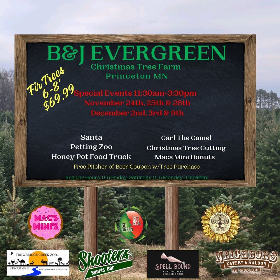 Christmas Trees and Holiday Fun! B & J Tree Farms, Princeton, MN