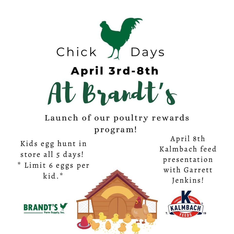 Chick Days 2023 Brandt's Farm Supply, Elizabethtown, PA April 3, 2023