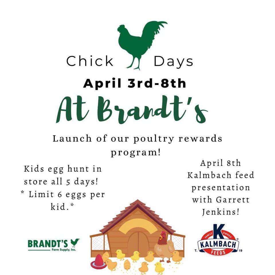 Chick Days 2025 Brandt's Farm Supply, Elizabethtown, PA April 3, 2025