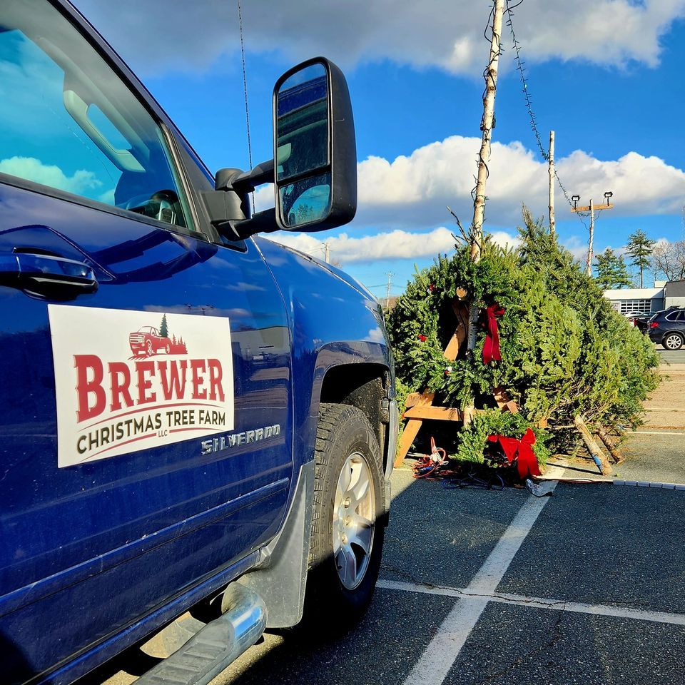Pop Up Christmas Tree Farm Brewer Christmas Tree Farm LLC