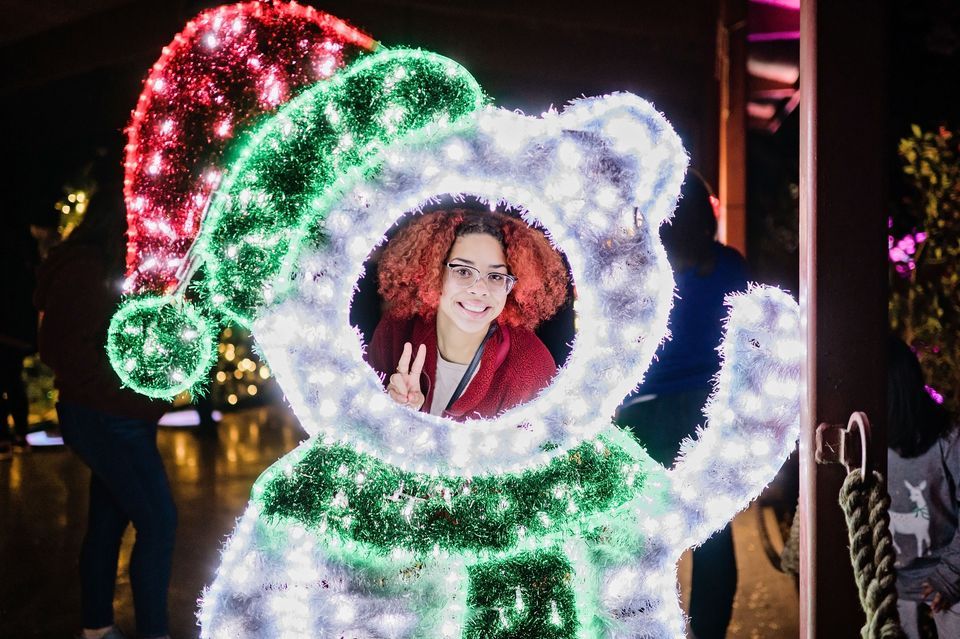 Truist Zoo Lights Memphis Zoo November 18, 2022